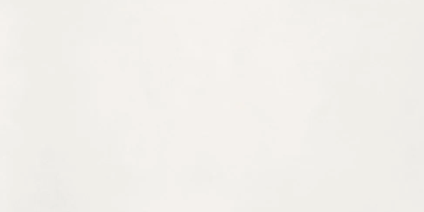 Гранит керамический N110011 Aston White Matt 60x120х0,9 см