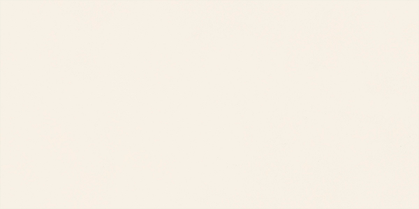 Гранит керамический N12041 DESIGN COLORS Blossom Pure MATT 60х120x0,9 см 