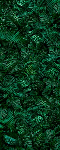 Панель настенная ART A-13.1.1/Botanical Garden Jungle глянец 120х300x0,4 см