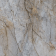 Гранит керамический COSMOPOLITAN MYSTIC GREY 06 LUC SQ 120х120х0,9 см Гранит керамический COSMOPOLITAN MYSTIC GREY 06 LUC SQ 120х120х0,9 см