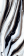 Гранит керамический N20389 TITANIUM Tiger Ice POLISHED 120х278х0,6 см Гранит керамический N20389 TITANIUM Tiger Ice POLISHED 120х278х0,6 см