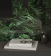 Панель настенная ART A-13.1.1/Botanical Garden Jungle глянец 120х300x0,4 см