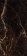 Гранит керамический полированный CR.LUX LAURANTS Brown PUL.120x260x0,6 см