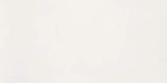 Гранит керамический N110011 Aston White Matt 60x120х0,9 см