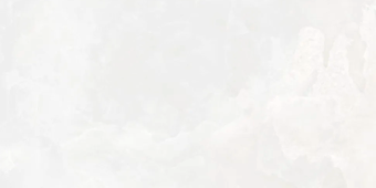 Гранит керамический N130006 Invictus White Polished 60x120х0,9 см