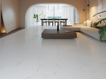 Гранит керамический DUAL WHITE NT/120X120/R 120х120x0,9 см