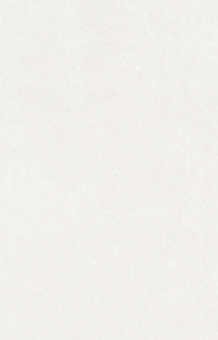 Гранит керамический GHENT White SP/100X180/R 100x180x0,8 см