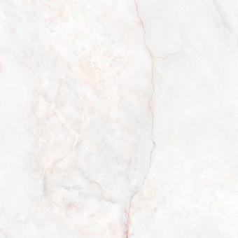 Гранит керамический 41431 DAHLIA White SP/100X100/R 100х100x0,8 см